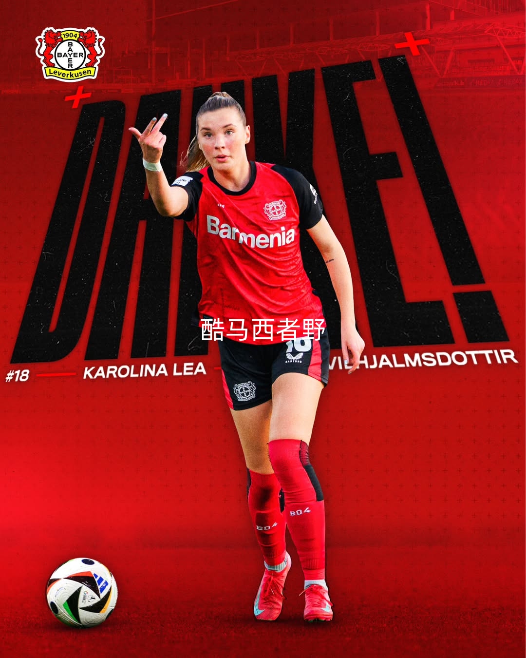 开云体育官方入口-勒沃库森迎全明星赛关键赛，关键时刻刷新队史纪录，悬念犹存，纪律约束更严格的简单介绍